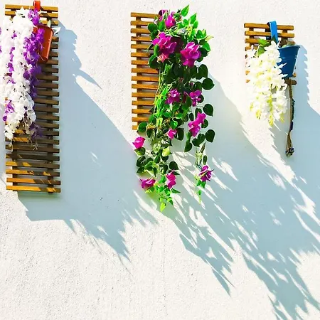 Ξενοδοχείο Just Dream